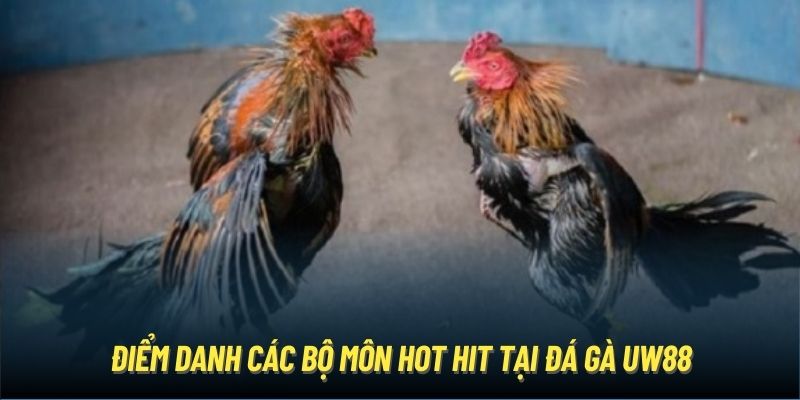 Điểm danh các bộ môn hot hit tại đá gà UW88