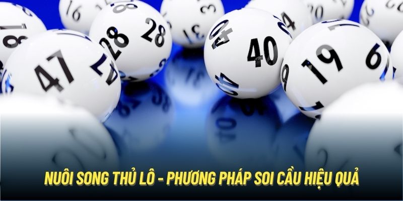 Nuôi song thủ lô - Phương pháp soi cầu hiệu quả