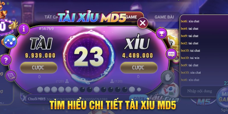 Tìm hiểu chi tiết tài xỉu md5 